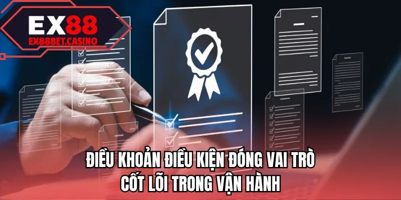 Điều khoản điều kiện đóng vai trò cốt lõi trong vận hành