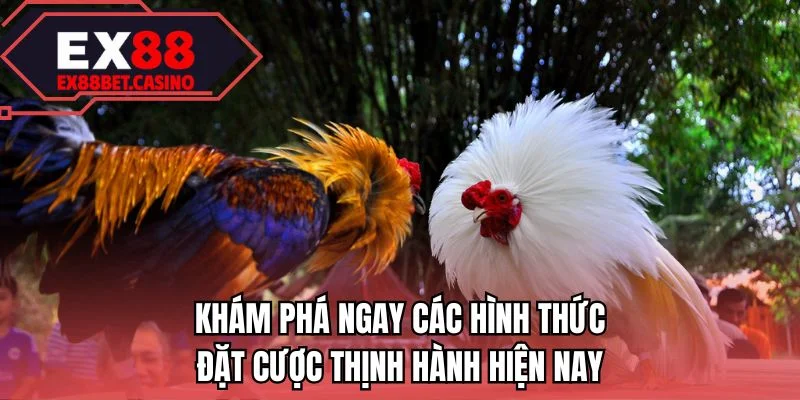 Khám phá ngay các hình thức đặt cược thịnh hành hiện nay